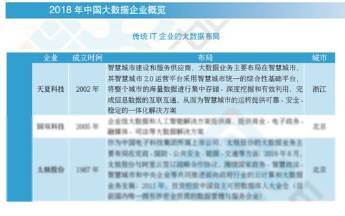 2018中國大數據企業報告出爐，天夏科技榮登IT企業大數據布局榜信息系統集成服務領域